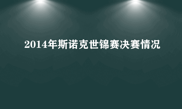 2014年斯诺克世锦赛决赛情况