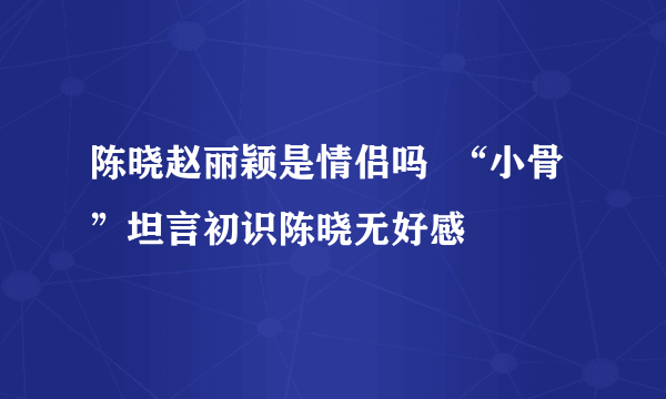 陈晓赵丽颖是情侣吗  “小骨”坦言初识陈晓无好感