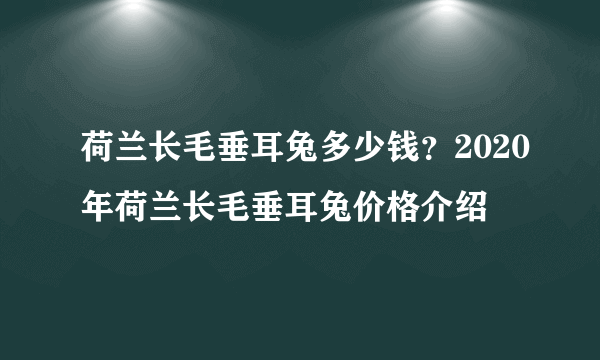 荷兰长毛垂耳兔多少钱？2020年荷兰长毛垂耳兔价格介绍