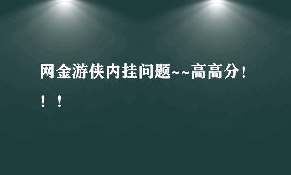 网金游侠内挂问题~~高高分！！！