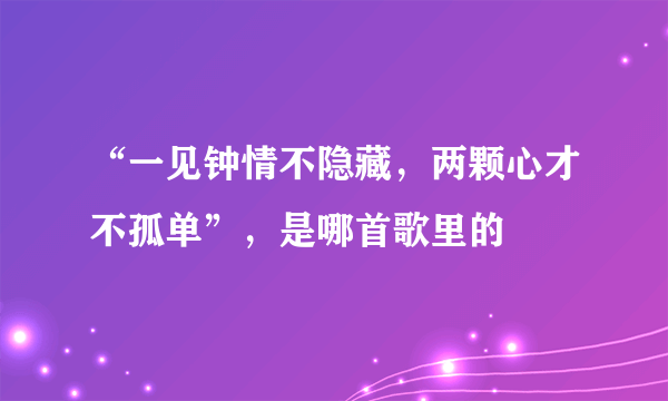 “一见钟情不隐藏，两颗心才不孤单”，是哪首歌里的