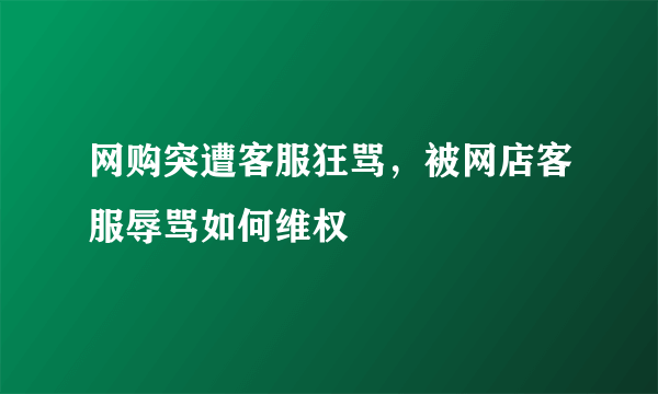 网购突遭客服狂骂，被网店客服辱骂如何维权