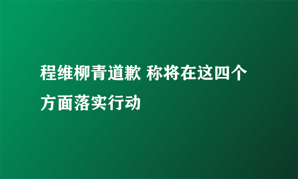 程维柳青道歉 称将在这四个方面落实行动