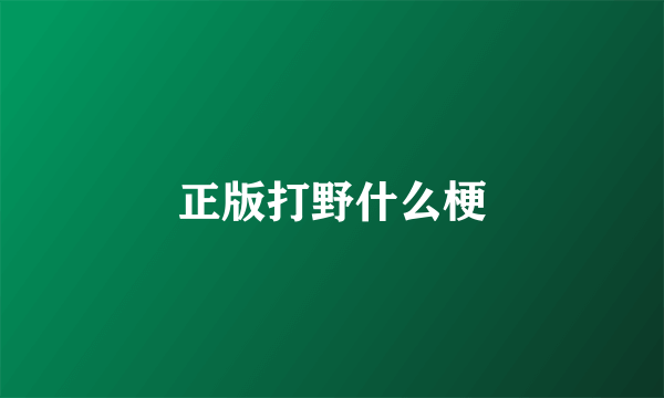 正版打野什么梗