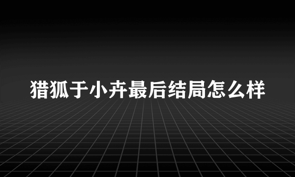 猎狐于小卉最后结局怎么样