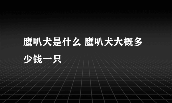 鹰叭犬是什么 鹰叭犬大概多少钱一只