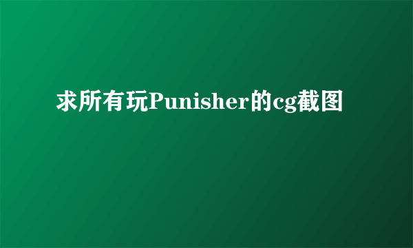 求所有玩Punisher的cg截图