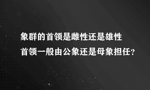 象群的首领是雌性还是雄性 首领一般由公象还是母象担任？