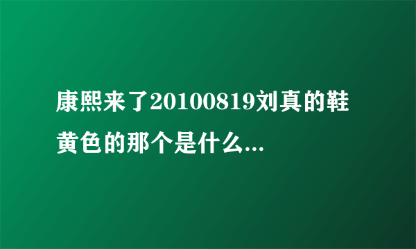 康熙来了20100819刘真的鞋 黄色的那个是什么牌子 哪里可以买到