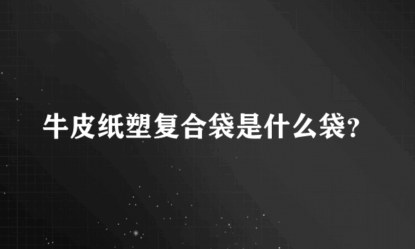 牛皮纸塑复合袋是什么袋？