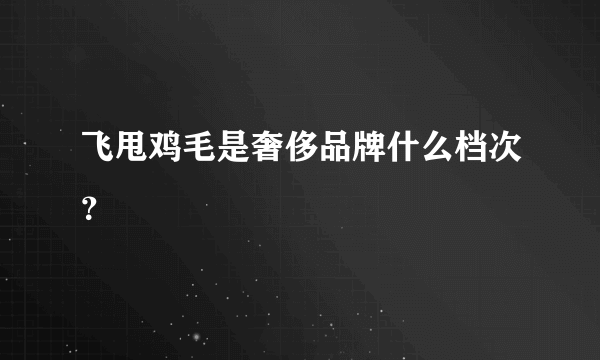 飞甩鸡毛是奢侈品牌什么档次？