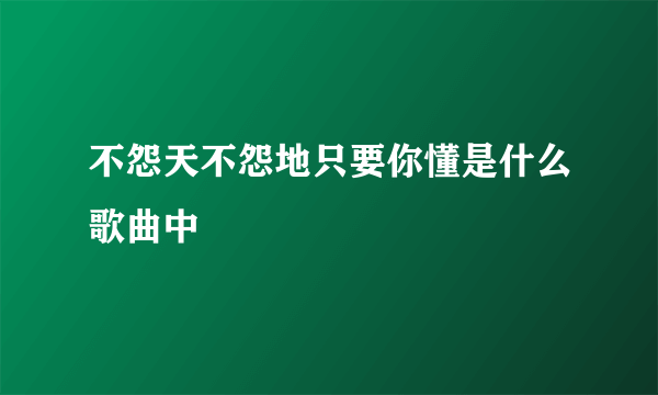 不怨天不怨地只要你懂是什么歌曲中