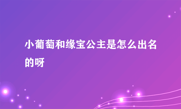 小葡萄和缘宝公主是怎么出名的呀