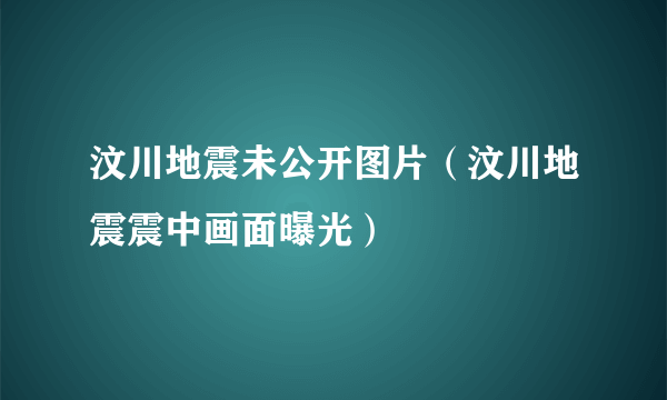 汶川地震未公开图片（汶川地震震中画面曝光）