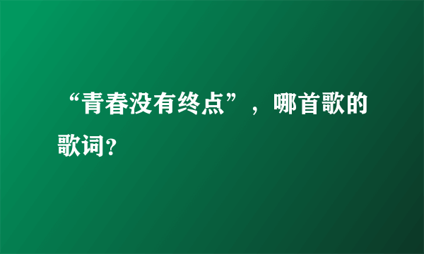 “青春没有终点”，哪首歌的歌词？