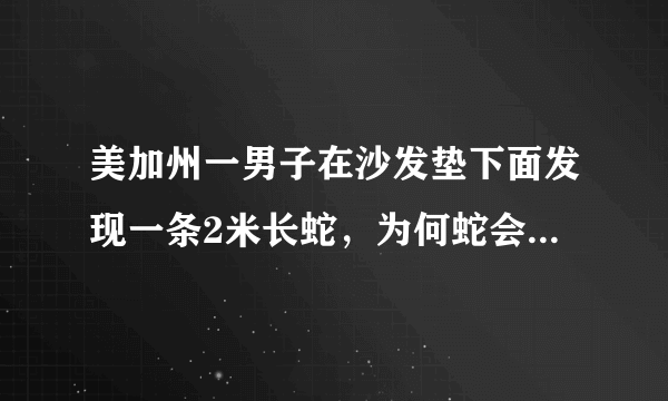 美加州一男子在沙发垫下面发现一条2米长蛇，为何蛇会进入到生活区域？