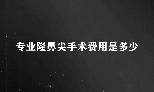 专业隆鼻尖手术费用是多少