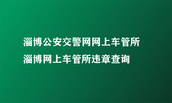 淄博公安交警网网上车管所 淄博网上车管所违章查询