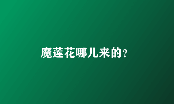 魔莲花哪儿来的？