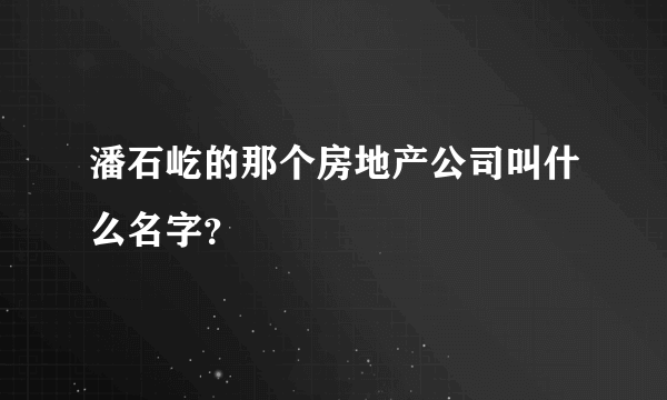 潘石屹的那个房地产公司叫什么名字？