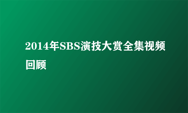 2014年SBS演技大赏全集视频回顾