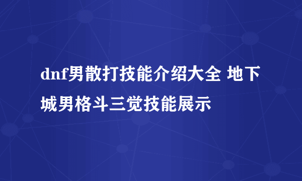 dnf男散打技能介绍大全 地下城男格斗三觉技能展示