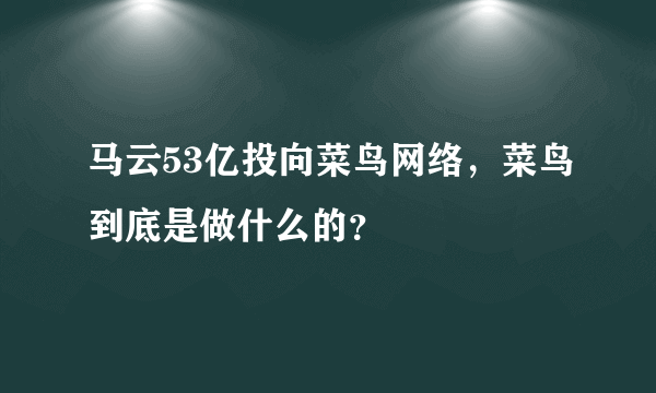 马云53亿投向菜鸟网络，菜鸟到底是做什么的？