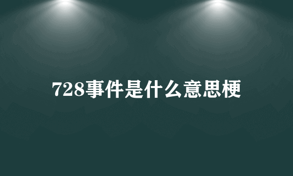 728事件是什么意思梗