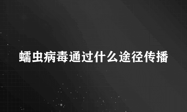 蠕虫病毒通过什么途径传播