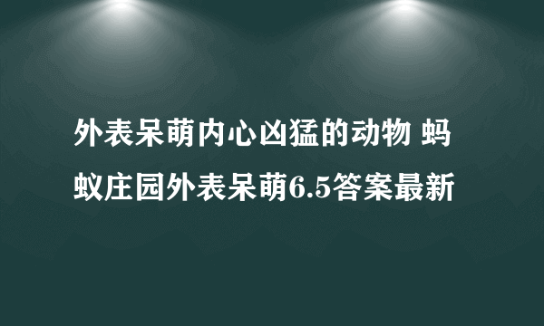 外表呆萌内心凶猛的动物 蚂蚁庄园外表呆萌6.5答案最新