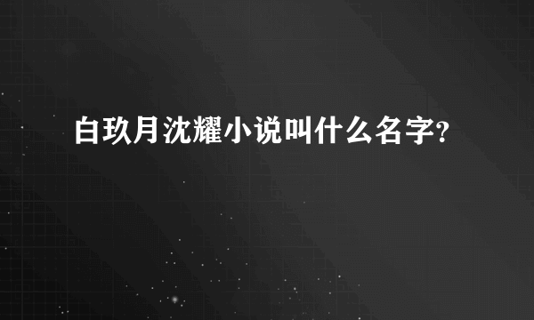 白玖月沈耀小说叫什么名字？