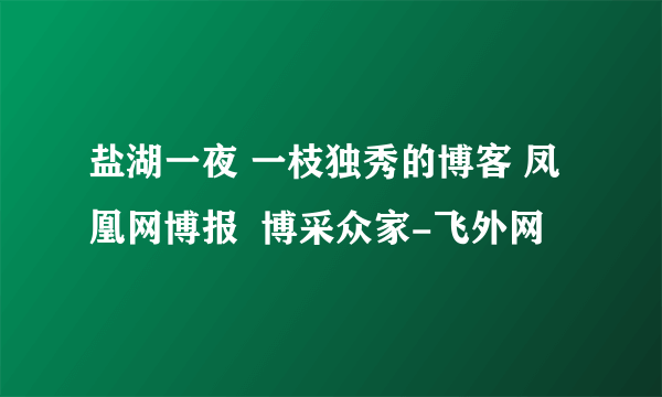 盐湖一夜 一枝独秀的博客 凤凰网博报  博采众家-飞外网