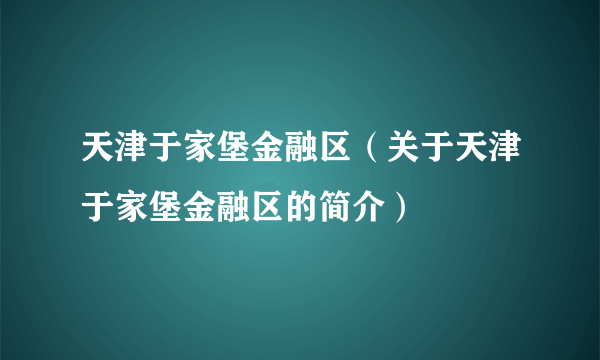 天津于家堡金融区（关于天津于家堡金融区的简介）