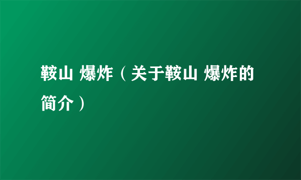 鞍山 爆炸（关于鞍山 爆炸的简介）