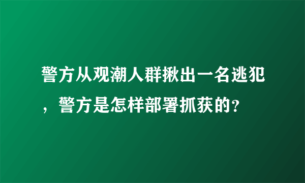 警方从观潮人群揪出一名逃犯，警方是怎样部署抓获的？