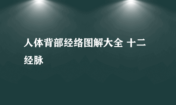 人体背部经络图解大全 十二经脉