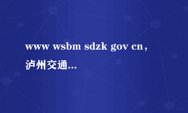 www wsbm sdzk gov cn，泸州交通违章查询网