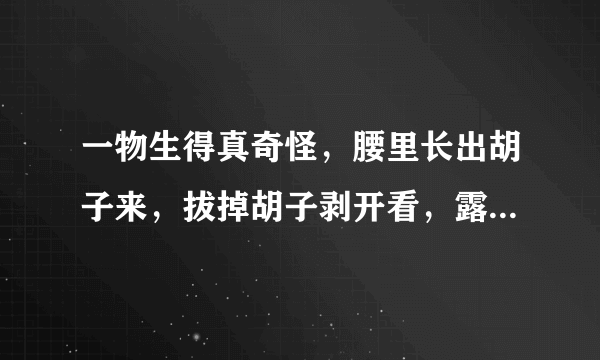 一物生得真奇怪，腰里长出胡子来，拔掉胡子剥开看，露出牙齿一排排（打一植物）