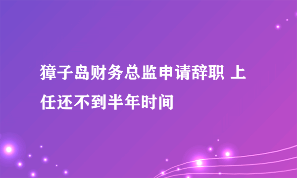 獐子岛财务总监申请辞职 上任还不到半年时间