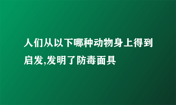 人们从以下哪种动物身上得到启发,发明了防毒面具