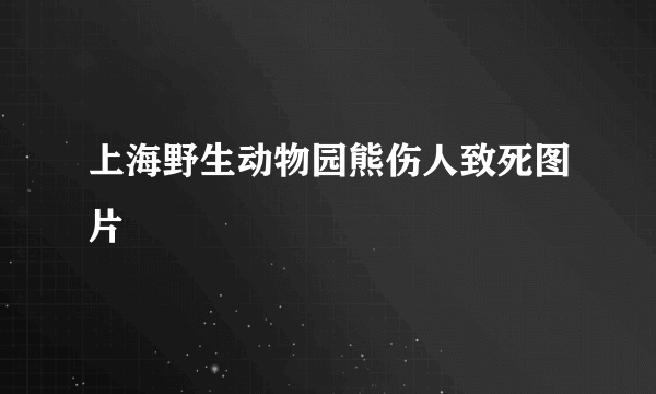 上海野生动物园熊伤人致死图片