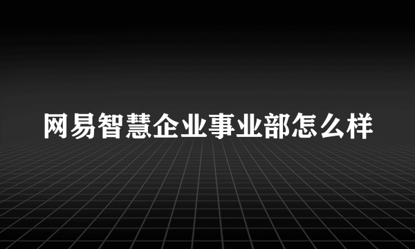 网易智慧企业事业部怎么样