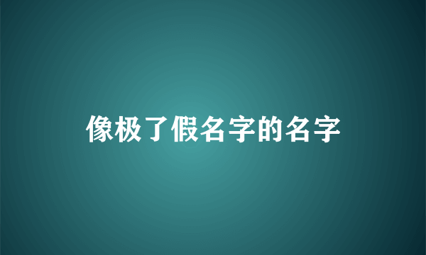 像极了假名字的名字