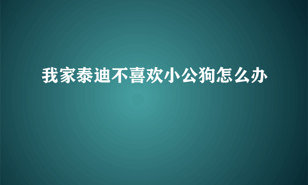 我家泰迪不喜欢小公狗怎么办