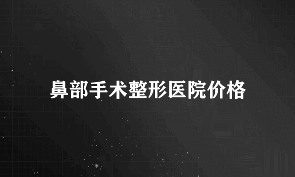 鼻部手术整形医院价格