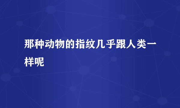 那种动物的指纹几乎跟人类一样呢