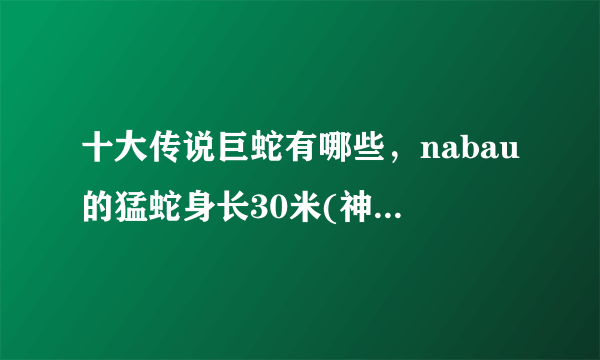 十大传说巨蛇有哪些，nabau的猛蛇身长30米(神秘恐怖)