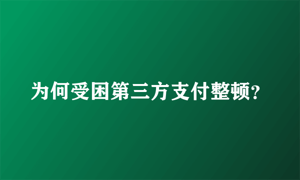 为何受困第三方支付整顿？