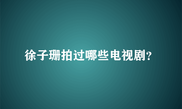 徐子珊拍过哪些电视剧？