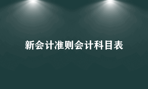 新会计准则会计科目表